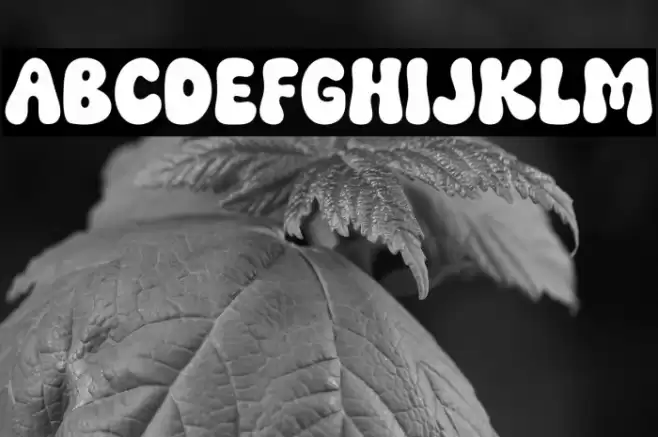 Funky Smile Regular خط examples