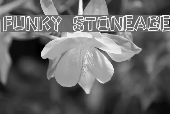 Funky Stoneage Font examples