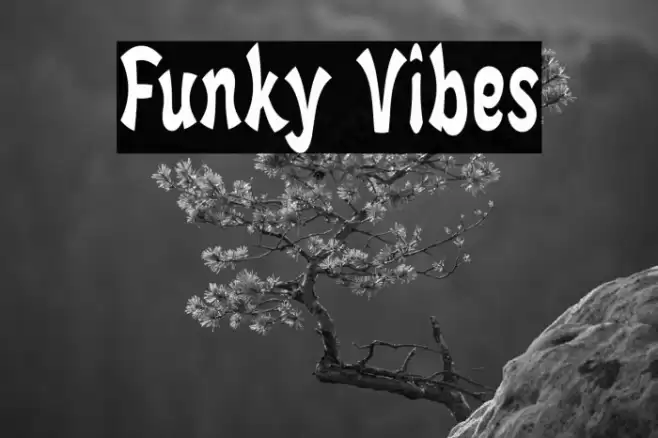 Funky Vibes Font examples