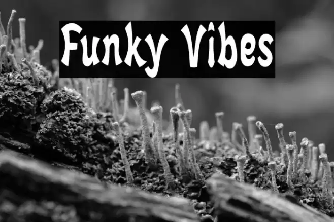Funky Vibes Font examples