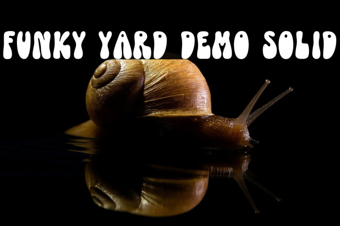 Funky Yard DEMO Solid Example 2