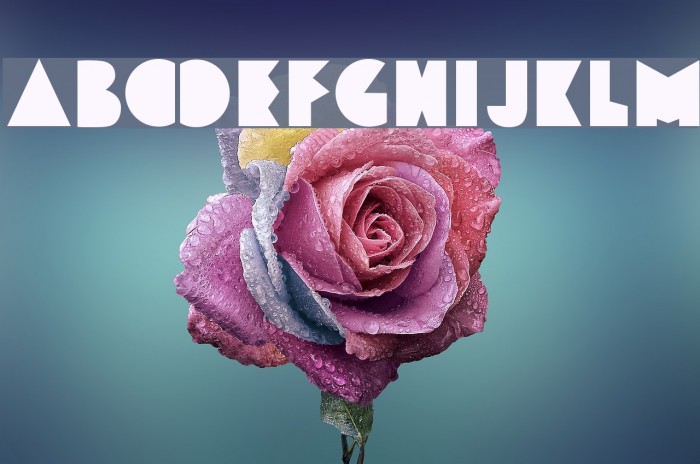 Funky&Bould Font examples