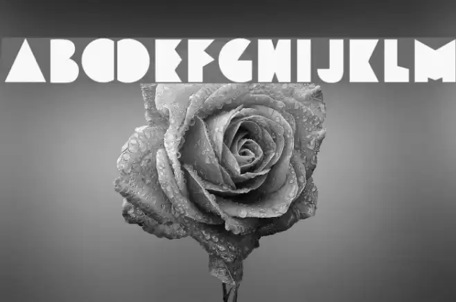 Funky&Bould Font examples