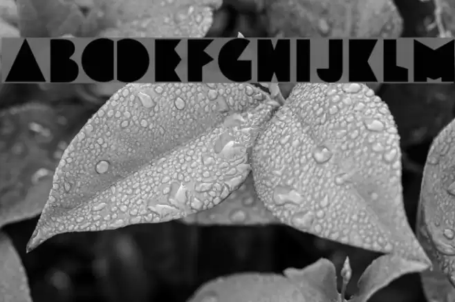 Funky&Bould Font examples