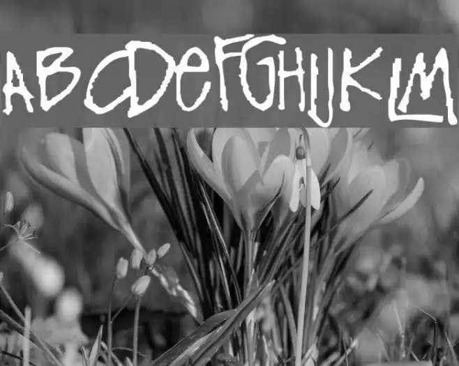 FunkyFresh Font examples