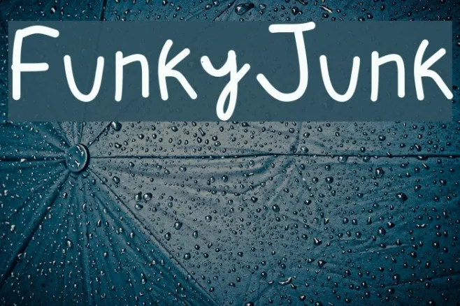 FunkyJunk Example 1