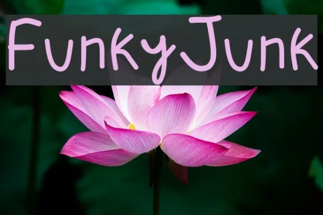 FunkyJunk Example 2