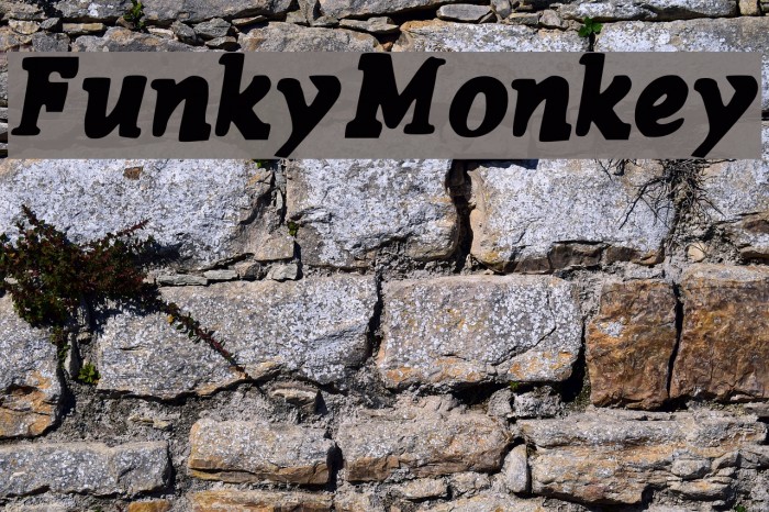 FunkyMonkey Font examples