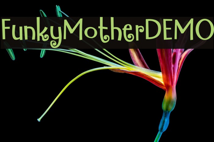 FunkyMotherDEMO Example 1
