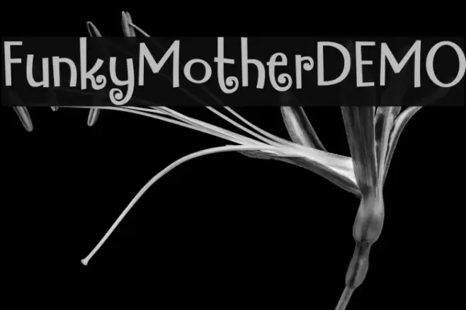 FunkyMotherDEMO Font examples