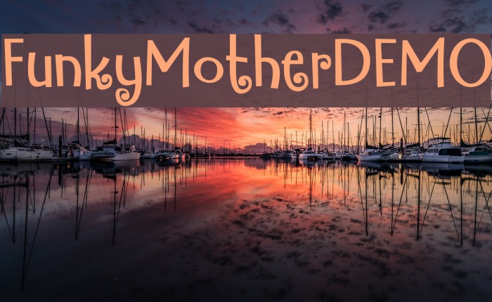 FunkyMotherDEMO Example 3