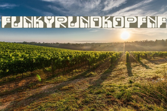 FunkyRundkopfNF Font examples