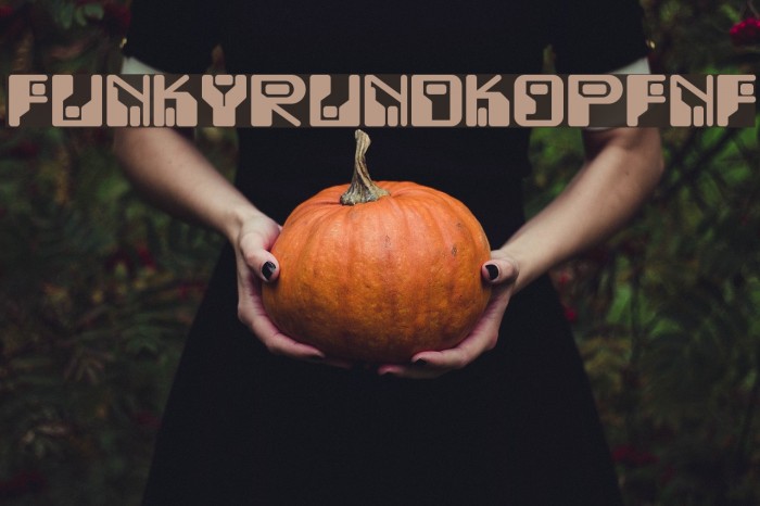 FunkyRundkopfNF Font examples