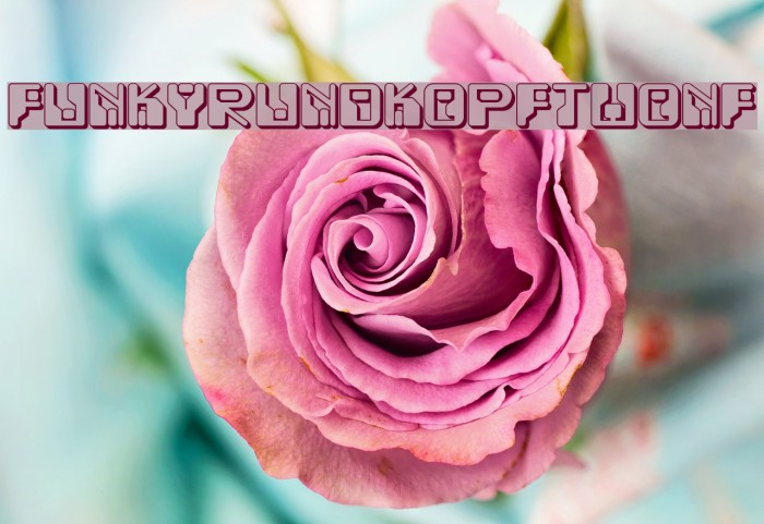 FunkyRundkopfTwoNF Font examples