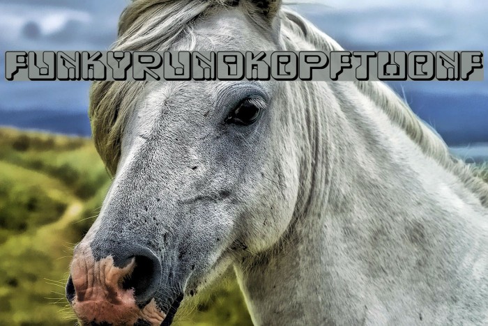 FunkyRundkopfTwoNF Font examples