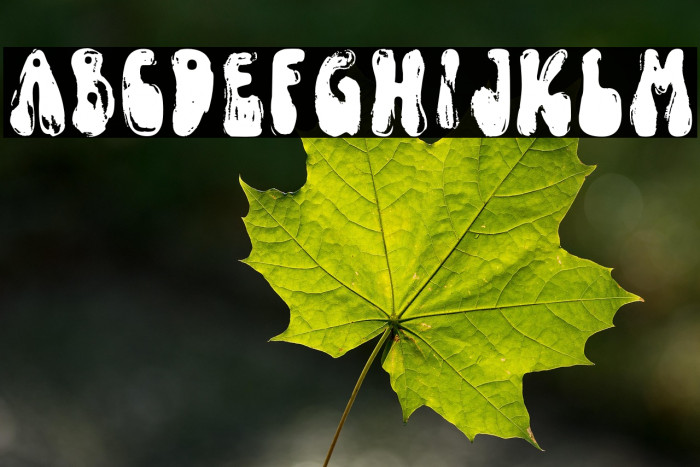 FunkyYardDEMO-SVG Example 2