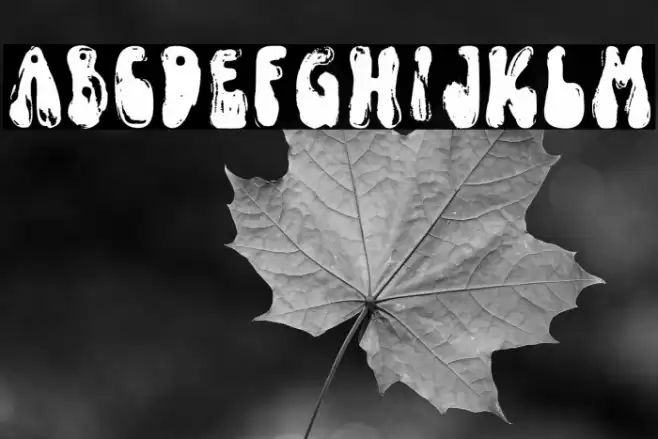 FunkyYardDEMO-SVG Font examples