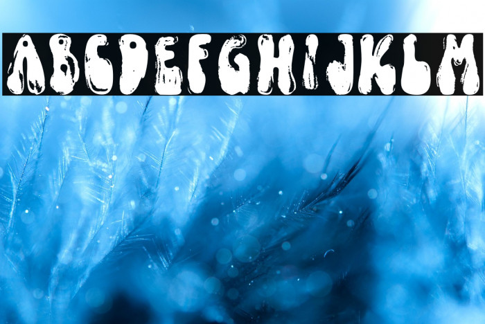 FunkyYardDEMO-SVG Example 3