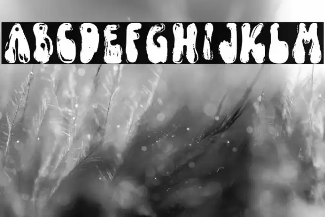 FunkyYardDEMO-SVG Font examples