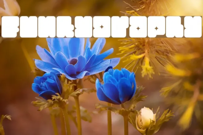 Funkygraphy Example 1