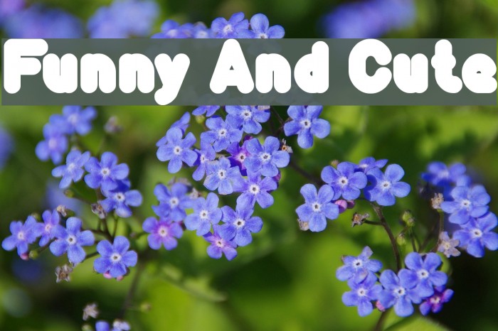 Funny And Cute Font examples