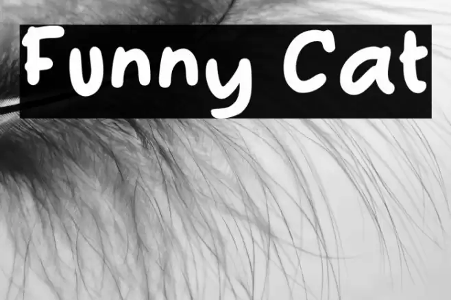 Funny Cat Font examples