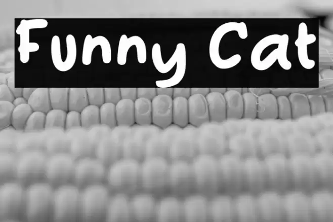 Funny Cat Font examples