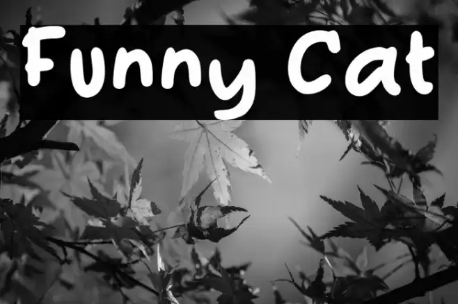 Funny Cat Font examples