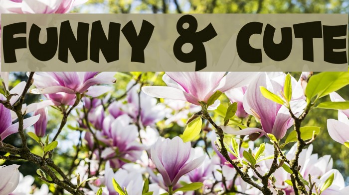 Funny & Cute Font examples