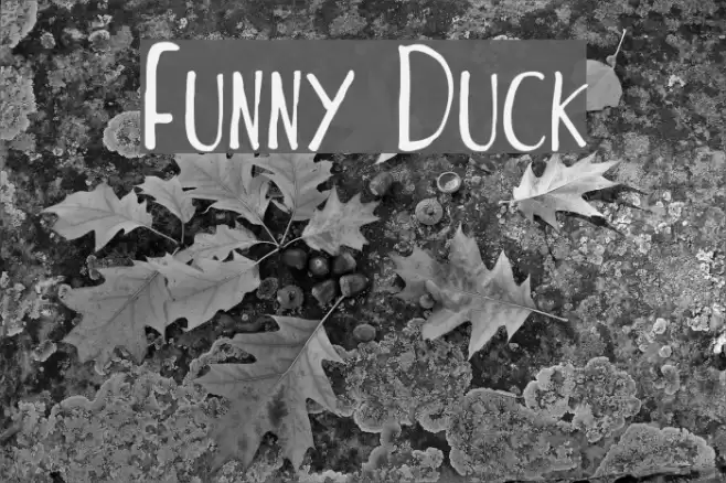 Funny Duck Font examples