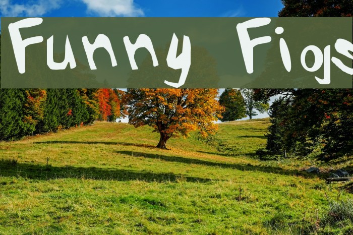 Funny Figs Font examples