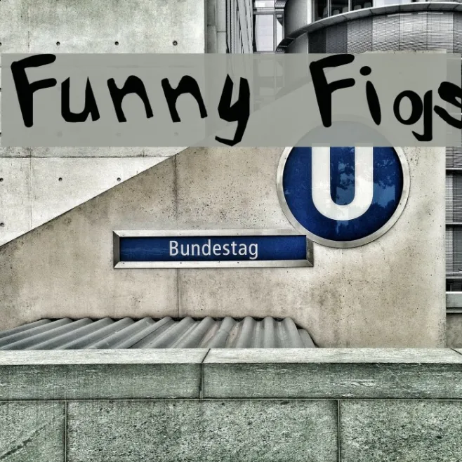 Funny Figs Example 3