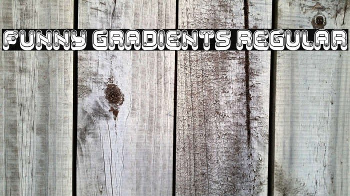 Funny Gradients Regular Example 1