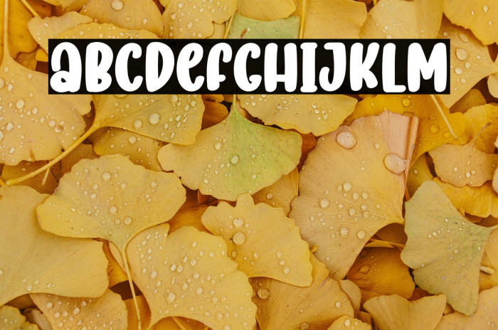 Funny Kids Example 2