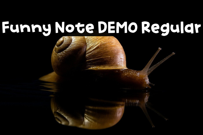 Funny Note DEMO Regular Example 1
