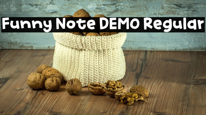 Funny Note DEMO Regular Example 2
