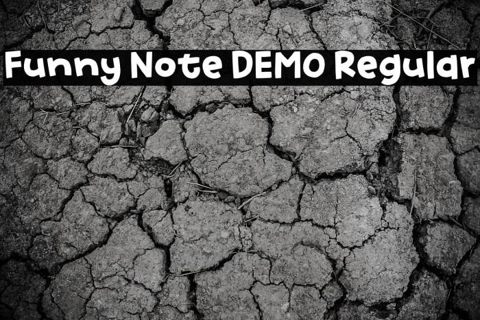 Funny Note DEMO Regular Example 3