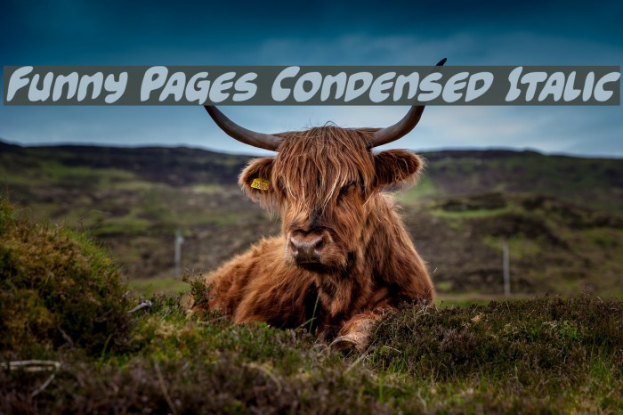 Funny Pages Condensed Italic Font examples