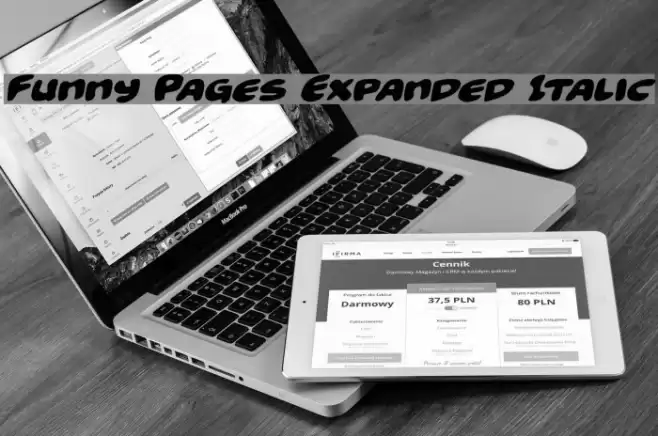Funny Pages Expanded Italic خط examples