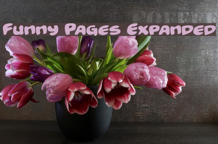 Funny Pages Expanded لخطوط تنزيل examples