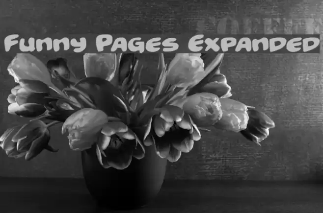 Funny Pages Expanded خط examples