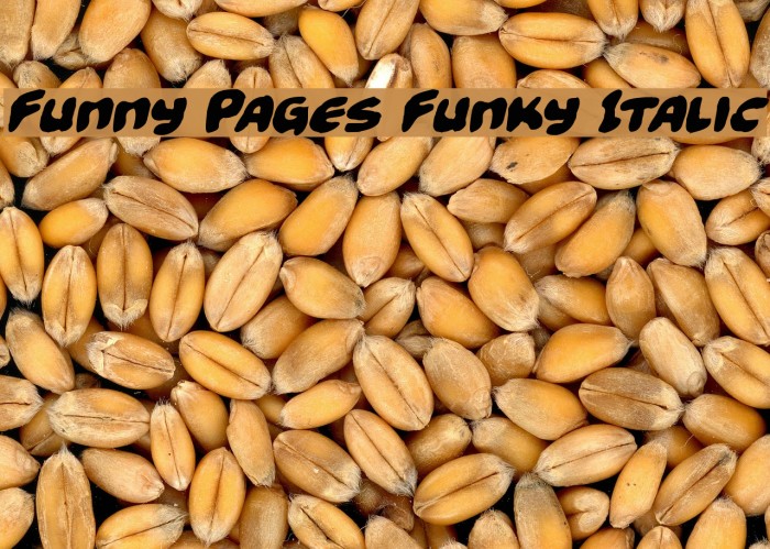 Funny Pages Funky Italic Example 1