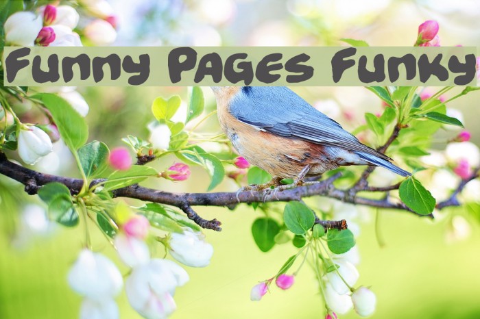Funny Pages Funky Font examples