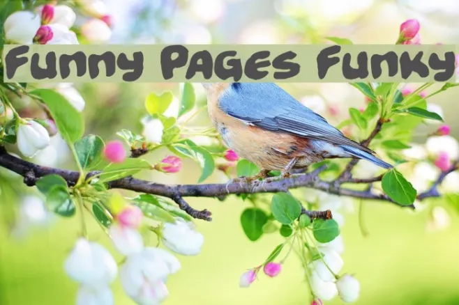 Funny Pages Funky Example 1