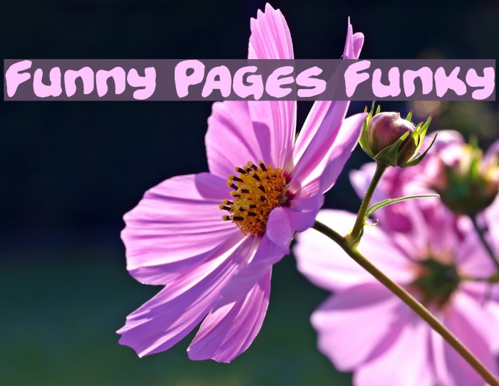 Funny Pages Funky Font examples