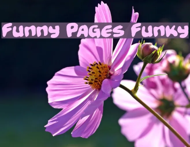 Funny Pages Funky Example 2