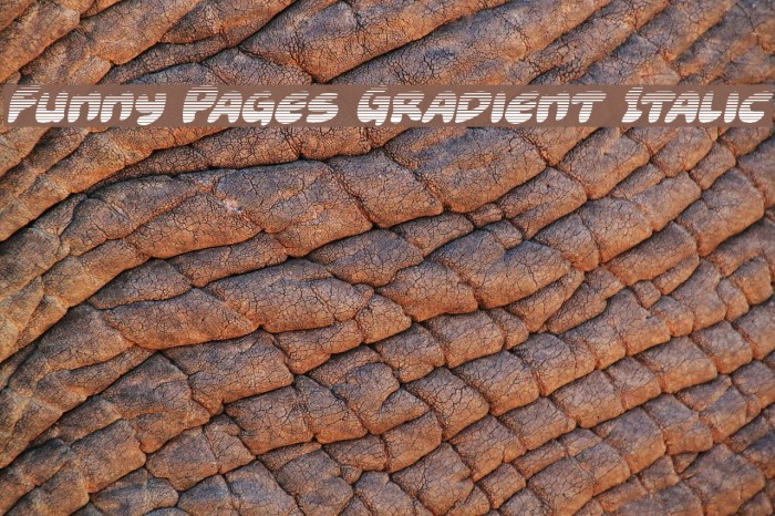 Funny Pages Gradient Italic Font examples