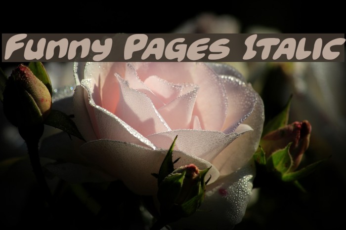 Funny Pages Italic Font examples
