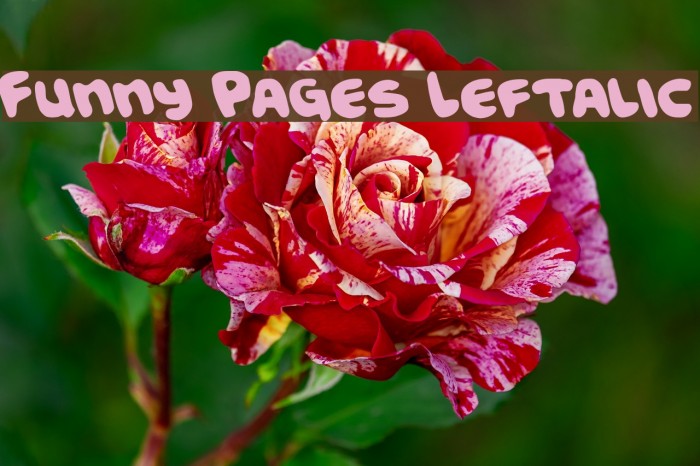 Funny Pages Leftalic Font examples