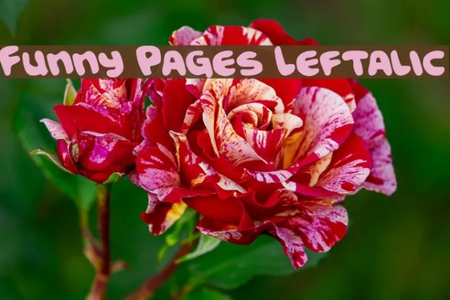 Funny Pages Leftalic Example 2